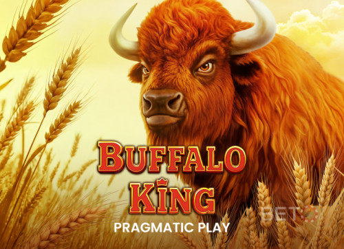 Buffalo King 